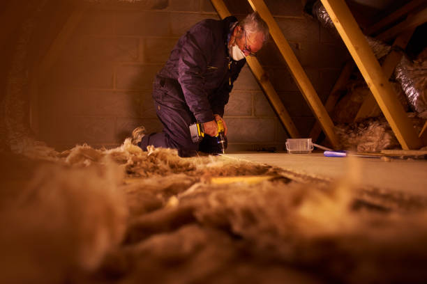 Best Best Insulation Companies  in Mount Sterling, KY
